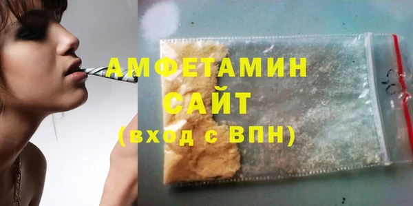 стаф Каменка