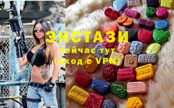 стаф Каменка