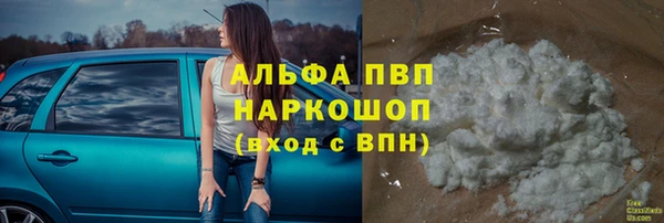 индика Хадыженск