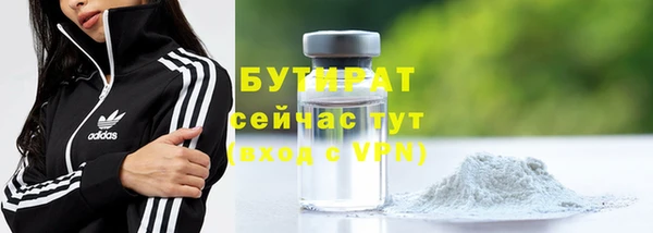 стаф Каменка