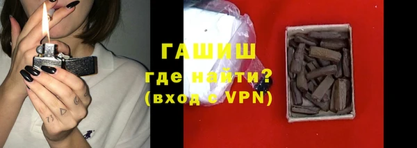 стаф Каменка