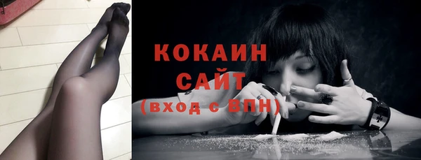 стаф Каменка