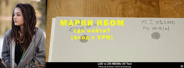 стаф Каменка