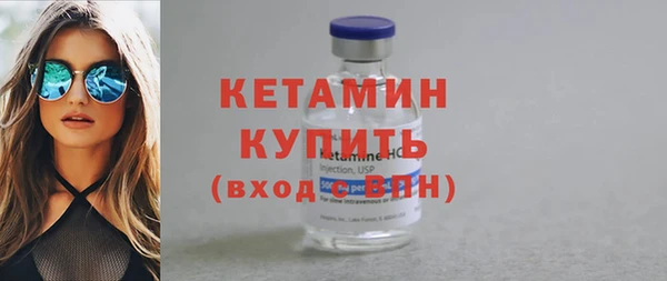 стаф Каменка
