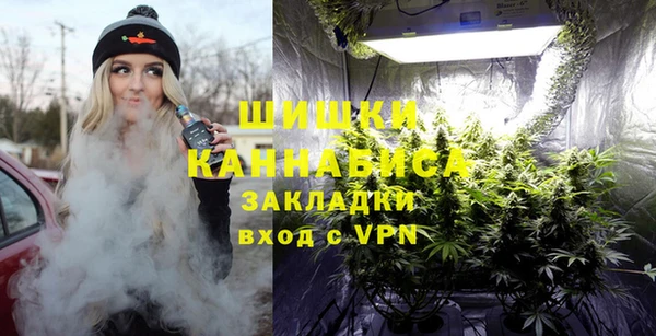 дмт Карпинск