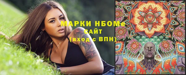 индика Хадыженск
